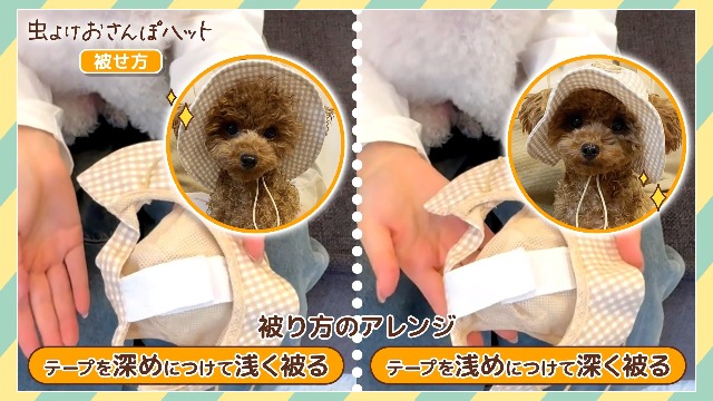 Amazon | マルカン 虫よけおさんぽハット Sサイズ 犬用 | マルカン